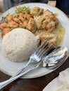 Circle-shaped rice and seasoned chicken are on a white round plate