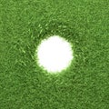 Circle-shaped white space edged with a thick, natural green grass border, ideal for eco-themed designs and concepts Royalty Free Stock Photo