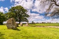 Circle of standing stones Royalty Free Stock Photo