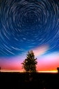 Circle star trails in the night sky above the lonely tree Royalty Free Stock Photo
