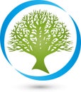 Circle and tree, plant in green, wellness and nature logo