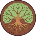 Circle of tree roots isolated on transparent background cutout . Royalty Free Stock Photo
