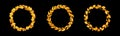 Circle user avatar frame, ui orange leaves border