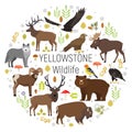 Circle vector set of plants and Yellowstone animals