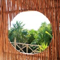 Circle window in tropical Jungle Royalty Free Stock Photo