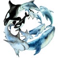 Circle wreath of swimming dolphins, shark, blue whale, killer whale orca with cubs on a white background, watercolor