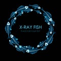 Circle of X-ray fish
