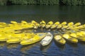 Circle of yellow Kayaks