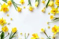 A circle of yellow and white flowers on a white surface. Perfect for spring or nature themes Royalty Free Stock Photo