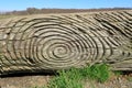 Circles in a block of wood in the North Kent countryside