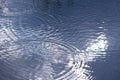 Circles from rain on water Royalty Free Stock Photo