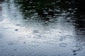 Circles from rain on water Royalty Free Stock Photo