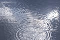 Circles from rain on water Royalty Free Stock Photo