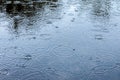 Circles from rain on water Royalty Free Stock Photo