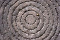 Circles on a stone with snake