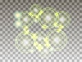Circles on a transparent background. Bubbles are green. Bright spheres. Vector Royalty Free Stock Photo