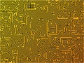 Circuit board background. Vector.