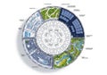 Circular architectural blueprint divided into sectors showcasing diverse features. Sections include Royalty Free Stock Photo