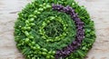 A circular arrangement of fresh herbs is displayed on a wooden surface. The layers Royalty Free Stock Photo