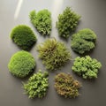 A circular arrangement of various moss Royalty Free Stock Photo