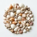 A circular arrangement of various sea Royalty Free Stock Photo