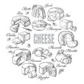 Circular background of different cheese top view