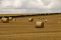 Circular bales of hay in a Dorset field, UK.