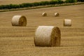 Circular bales of hay in a Dorset field, UK.