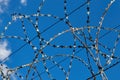 Circular barbed wire against blue sky, prison fence close up Royalty Free Stock Photo