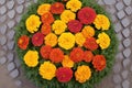circular bed of vibrant marigolds, top-down view