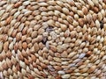 Circular braided pattern Royalty Free Stock Photo