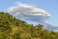 Circular clouds over the forest