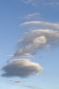 Circular clouds over the forest