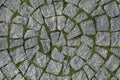 Circular cobblestone texture with grass Royalty Free Stock Photo