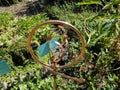 Circular copper metal fountain in garden with plants