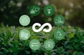 Circular economy concept. A green plants background with scheme of icons of product life cycle from raw material to production, Royalty Free Stock Photo