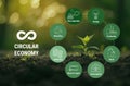 Circular economy concept. A plant growing up from soil with scheme of icons of product life cycle from raw material to production Royalty Free Stock Photo