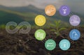 Circular economy concept. A plant growing up from soil with scheme of icons of product life cycle from raw material to production Royalty Free Stock Photo