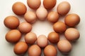 Circular Eggs Brown chicken eggs artfully arranged in a sharp circle
