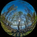 Circular fisheye with a super wide angle view. Trees and stones on the bank of the river on a spring sunny day