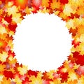 Circular flame made with fall, autumn leaves