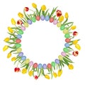 Circular floral frame made of beautiful red and yellow tulips and colorful easter eggs. Isolated on white background. Royalty Free Stock Photo