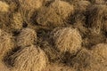 Circular Branches of Brown Tumbleweeds