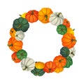 Circular frame. Multicolored pumpkins different size and shape.