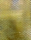 Circular golden mesh