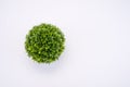 Circular green artificial potted plant directly above view