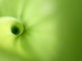 Circular green background of a leaf