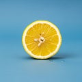 Circular half of a lemon stands upright on a smooth blue surface Royalty Free Stock Photo