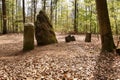 Circular monument in Germany forest