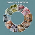 Elements suggest a focus on cognition, though the titles are Royalty Free Stock Photo